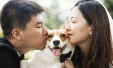 Par väljer att ha husdjur istället för barn: Lär dig anledningarna. Foto: Reproduktion Unsplash Vino Li