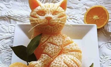 Homem usa frutas e vegetação para fazer esculturas impressionantes de gatos