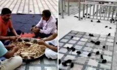 Indianos preparam refeição em local infestado de ratos