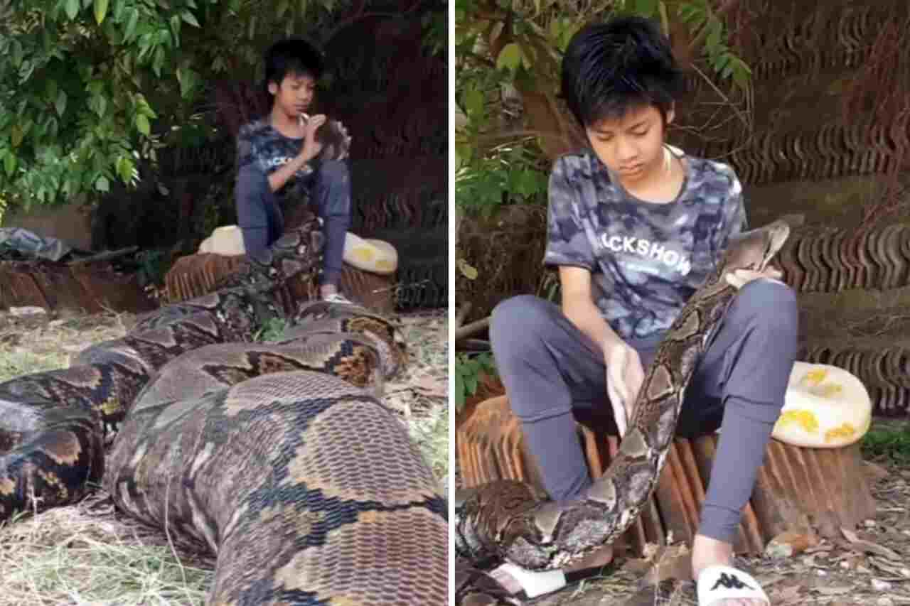 Jongen behandelt twee reusachtige slangen als huisdieren. Foto: Reproductie Instagram