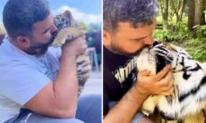 Vídeo: acompanhe o crescimento de um tigre criado em casa de família