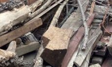 Desafio: você consegue encontrar o gato no meio da pilha de madeira?