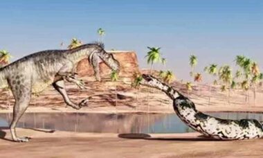 Pesquisadores encontram fósseis daquela que pode ser a maior cobra de todos os tempos