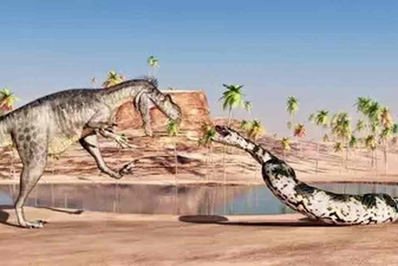 Forskare hittar fossil av vad som kan vara den största ormen genom tiderna