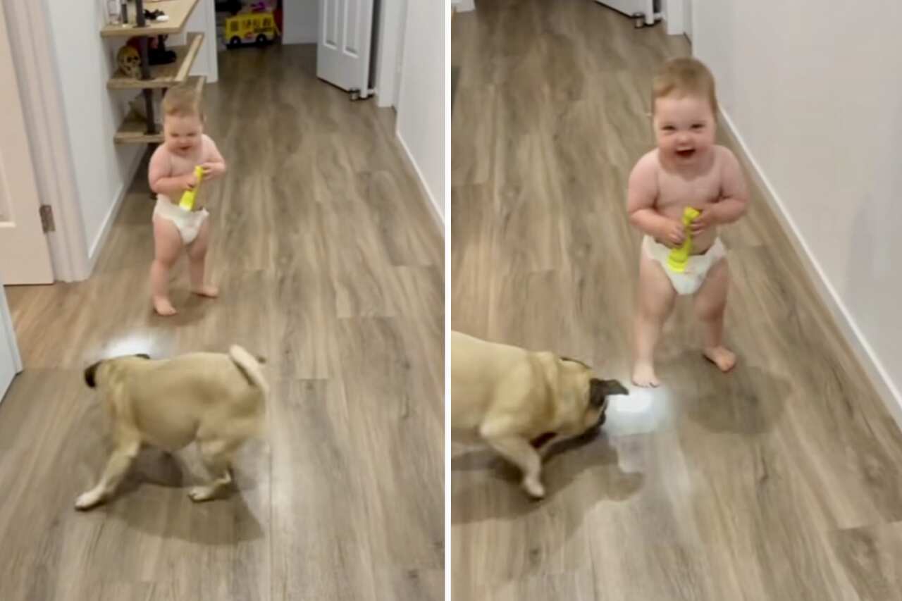 A pug and a flashlight is all the baby needs to be happy. Photo: Instagram Reproduction