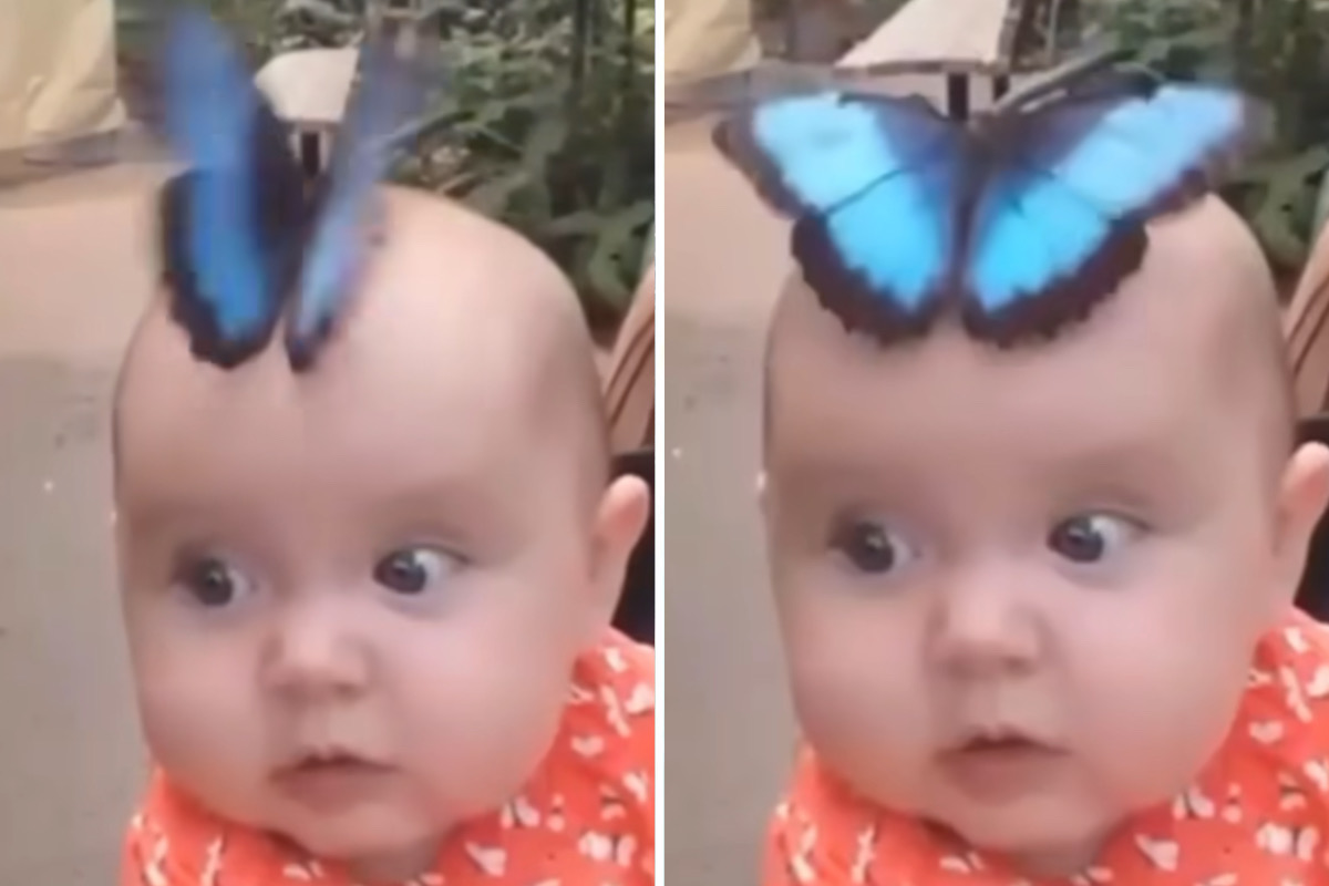 Schmetterling und Baby sind beste Freunde. Foto: Reproduktion Instagram