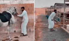 Vídeo doloroso: cavalo inventa o coice frontal e atinge homem em local delicado