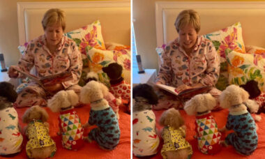 En kvinna läser en godnatt saga för sina 6 valpar. Foto: Reproduktion Instagram