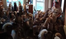 Vídeo fofo: homem passa 5 dias fora e é recebido calorosamente por seus huskies