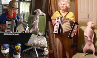Dotter tar farväl av mamma som underhöll världen genom att spela dragspel för dansande hund. Källa: Instagram Reproduktion