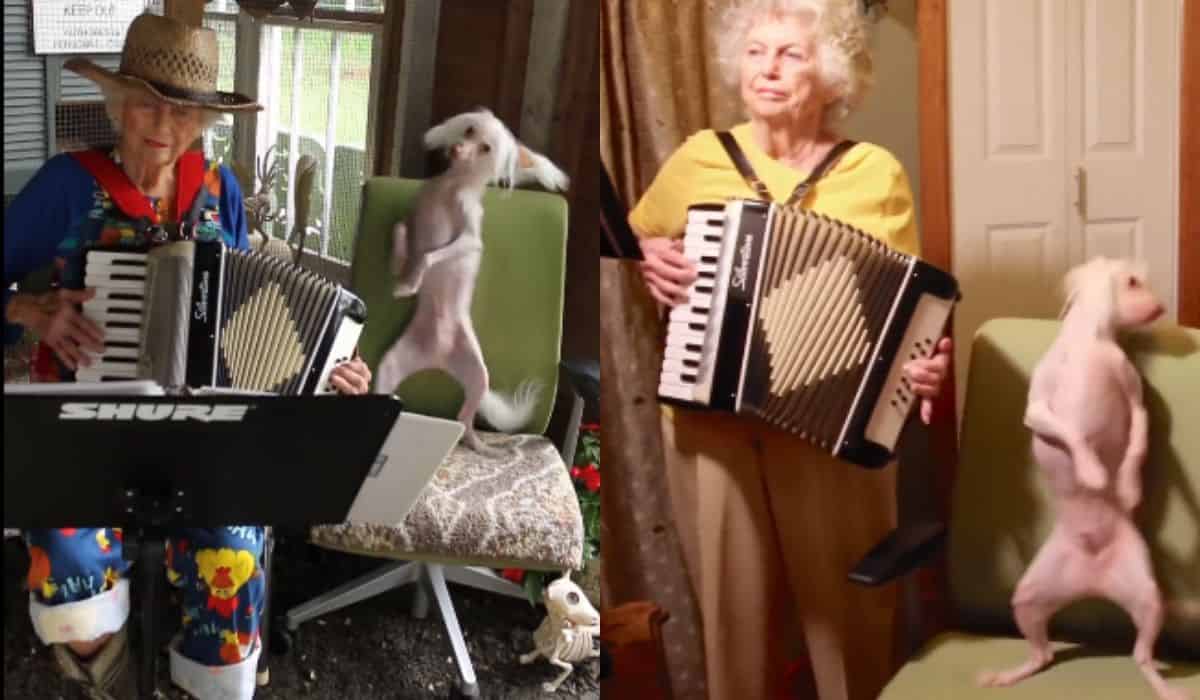 Vídeo comovente: filha se despede de mãe que divertiu o mundo tocando sanfona para cão dançarino