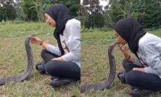 Mulher beija cobra peçonhenta na boca e aterroriza a internet