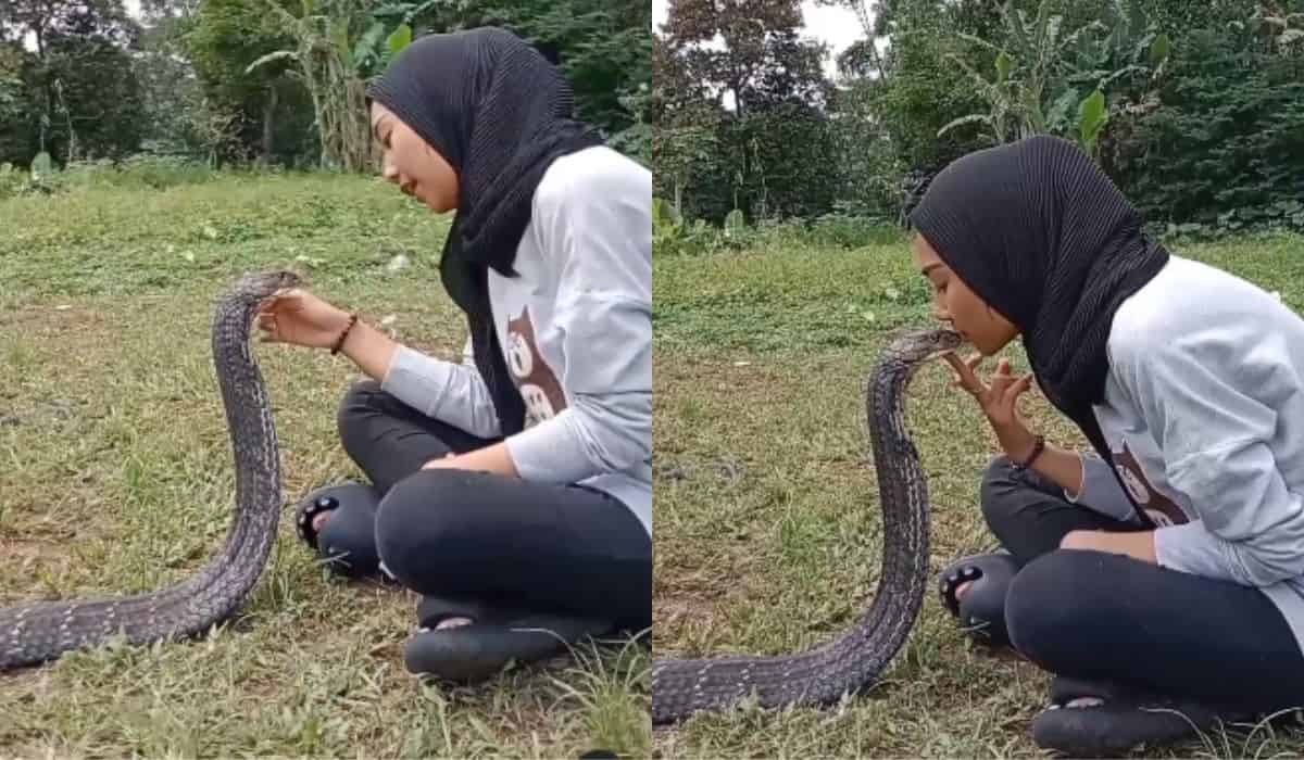 Kvinne kysser giftig slange på munnen og skremmer internett