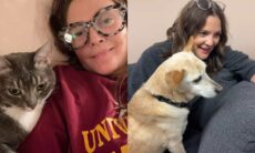 Überprüfen Sie, wie das Leben der Schauspielerin Drew Barrymore und ihrer 9 Haustiere ist. Foto: Reproduktion Instagram @drewbarrymore