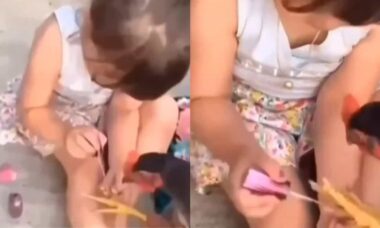 Vídeo hilário: galinha vaidosa tem as unhas pintadas por menina