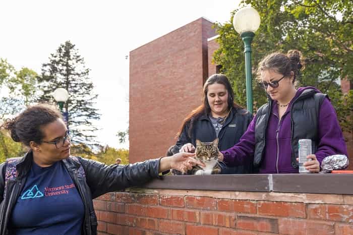 Katten Max med studenter vid Vermont State University (Facebook / Vermont State University)