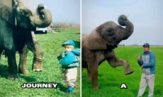 Vídeo incrível registra elefante que brinca, protege e até dá banho em humano