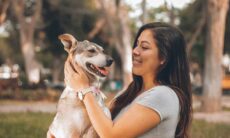 ASTROLOGIA: veja o que o signo do seu pet diz a respeito dele e sobre a compatibilidade dele com você