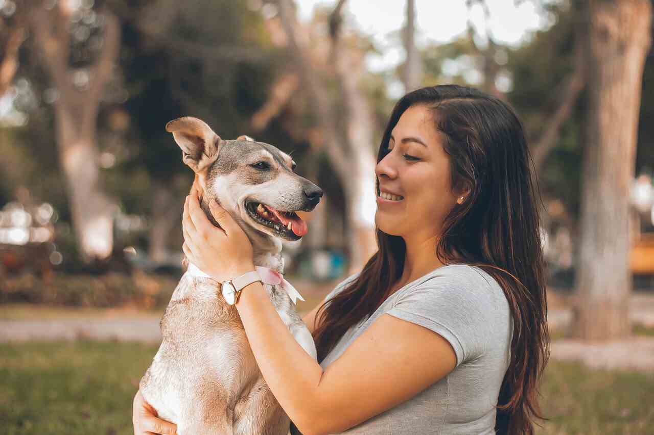 ASTROLOGY: see what your pet's sign says about them and their compatibility with you