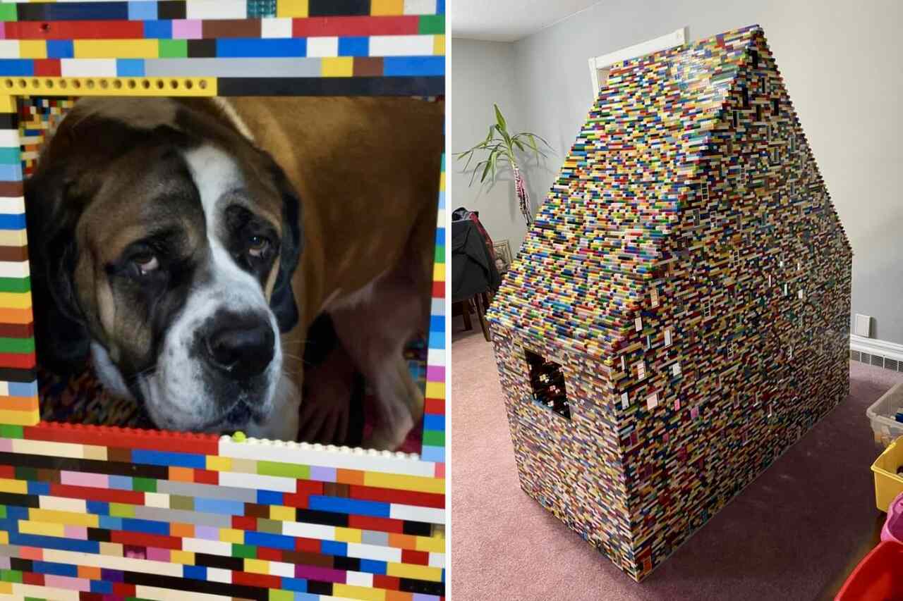 Woman addicted to Lego builds 1.83-meter house for her pets