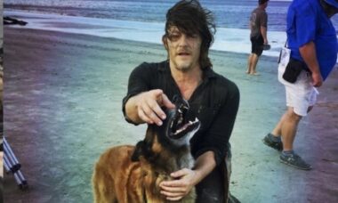 Morre Seven, cão pastor belga malinois que brilhou na série 'The Walking Dead'