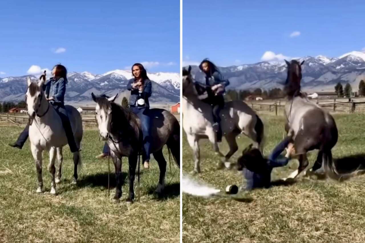 Video: never open a champagne bottle while mounted on a horse