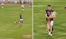 Hund avbryter fotbollsmatch. Foto: Reproduktion Instagram