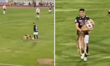 Hund avbryter fotbollsmatch. Foto: Reproduktion Instagram