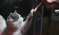 Bild: Reproduktion Raychan Unsplash