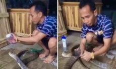 Vídeo: homem dá banho em sua gigantesca cobra de estimação