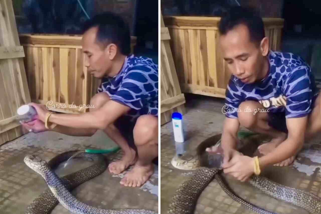 Video: Man gives his gigantic pet snake a bath