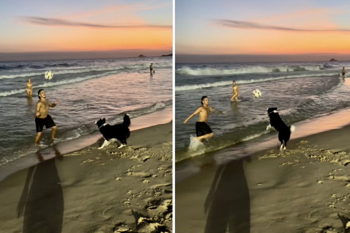 De hond heeft veel vaardigheid in strandvoetbal. Foto: Reproductie Instagram