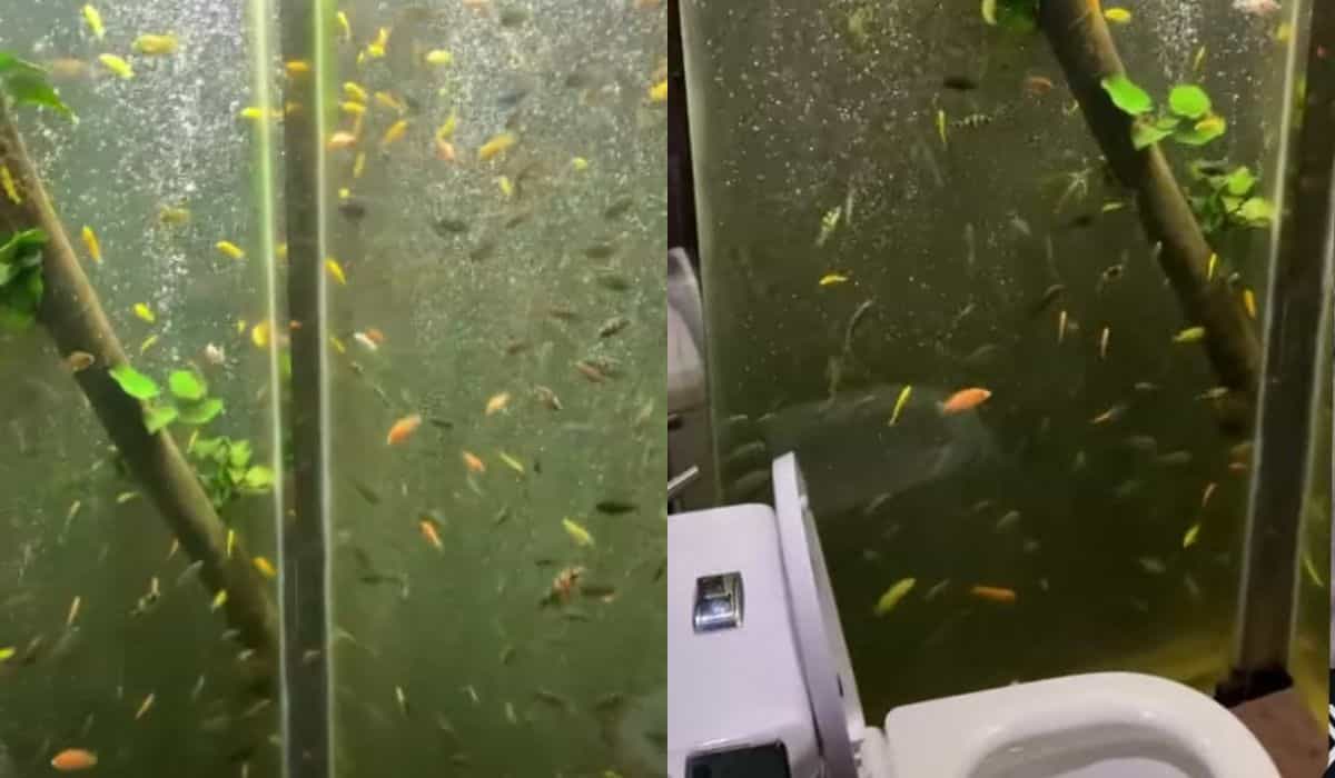 Mann verwandelt sein Badezimmer in ein riesiges Aquarium in China