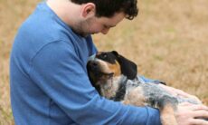 Aprenda a decifrar os sinais calmantes que seu cão manda para você