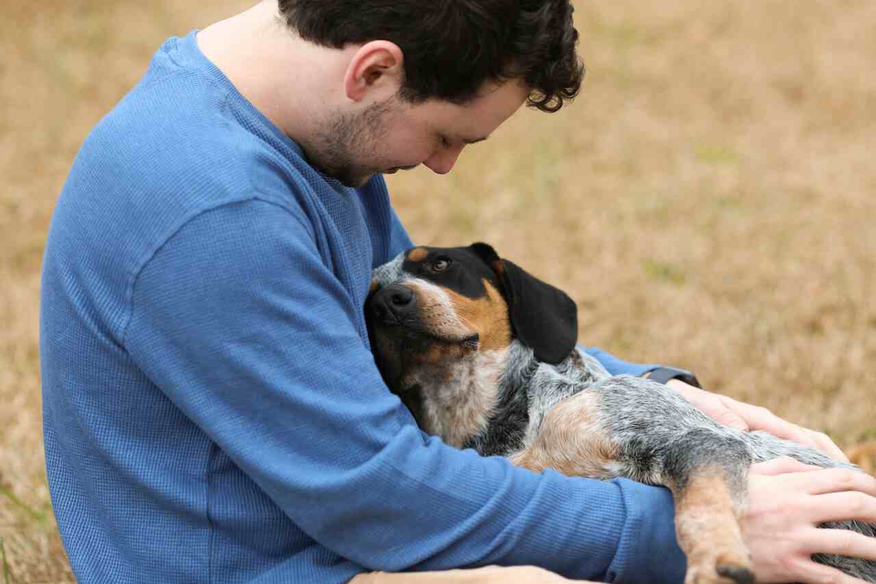 Lerne die beruhigenden Signale zu entschlüsseln, die dein Hund dir sendet