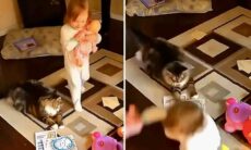 Interazioni complicate tra gatti e bambini. Foto: Riproduzione Instagram