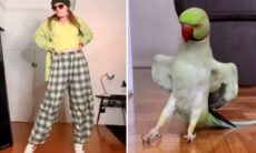 Vídeo hilário mostra coreografia de mulher e pássaro ao som de Michael Jackson