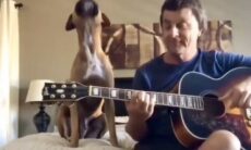 Sensitiv hund blir rørt av Beatles-hiten. Foto: Instagram Reproduksjon 