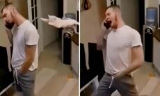 Attacker från okontrollerade katter. Foto: Reproduktion Instagram