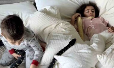 Vídeo impressionante mostra irmãos na cama com cobra gigantesca