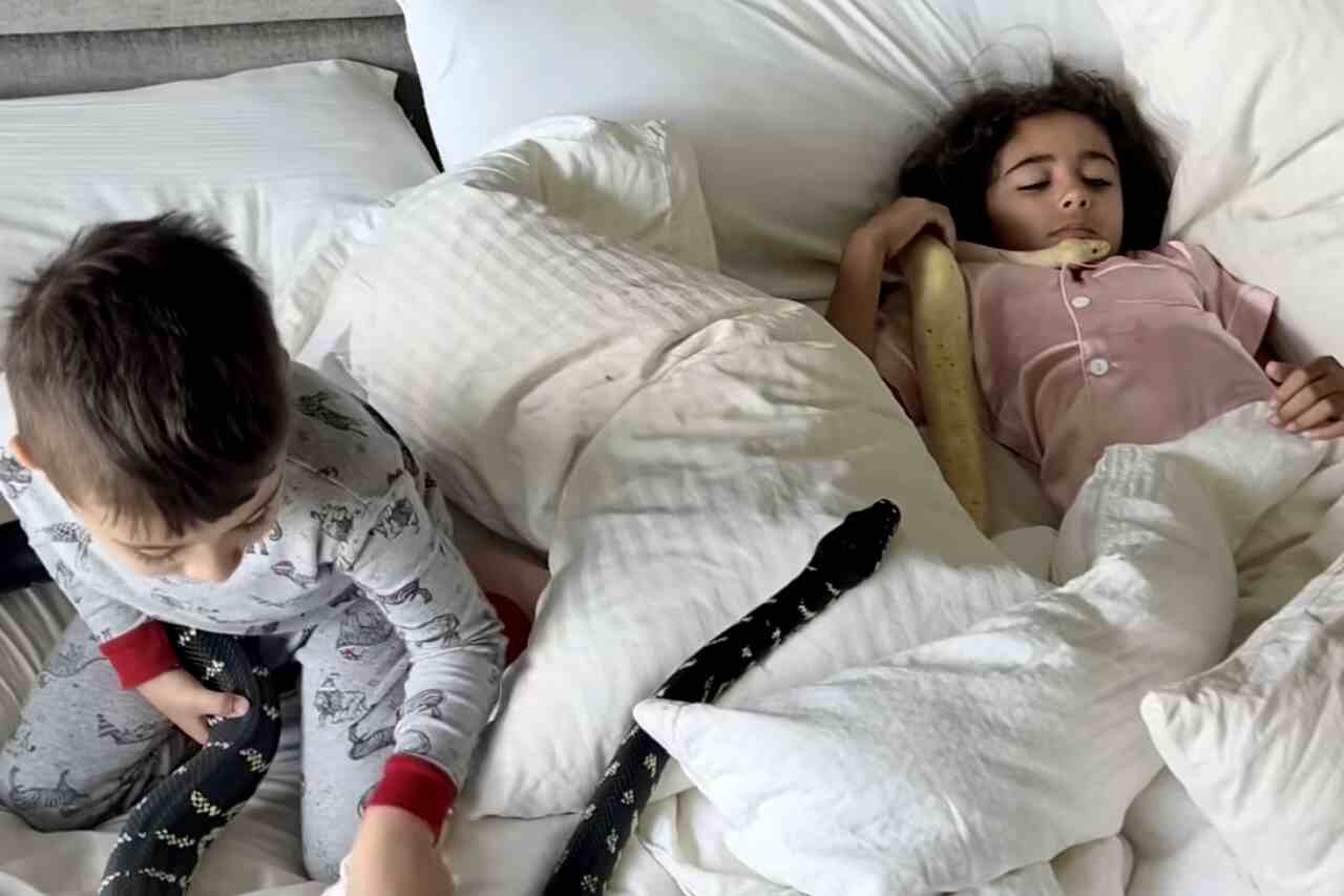 Video impressionante mostra fratelli a letto con serpente gigante