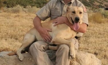 Cachorra salva dona de 80 anos que tem demência e estava perdida por três dias