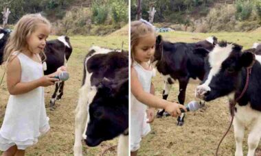 Vídeo fofo mostra menina 'dialogando' com vaquinha