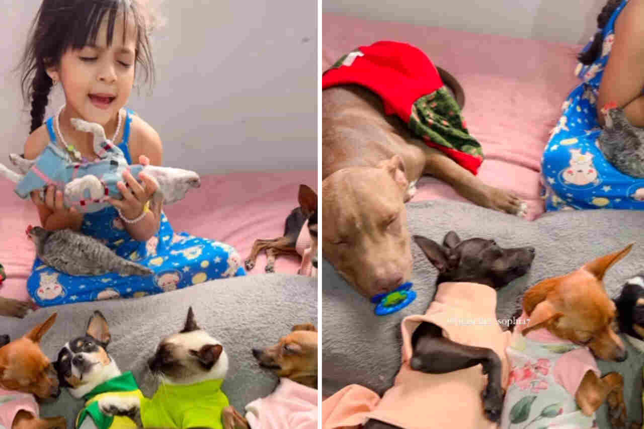 Cute video: girl sings and charms her pets at bedtime