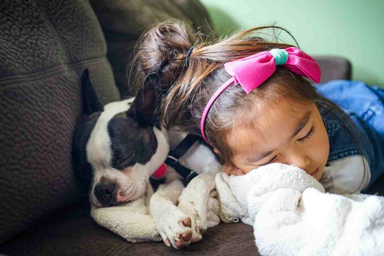 Att växa upp i sällskap med en hund är bra för tarmhälsan, visar en studie