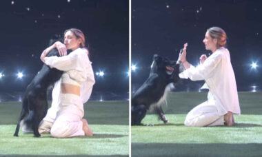 Vídeo registra impressionante apresentação de dança entre dona e seu cão