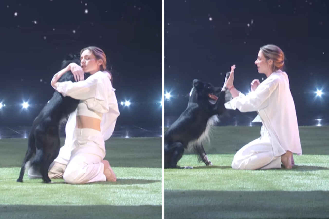 Vídeo registra impressionante apresentação de dança entre dona e seu cão