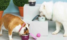 Água fresca: Stanley lança linha de produtos para pets