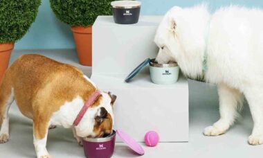 Água fresca: Stanley lança linha de produtos para pets