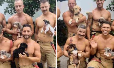 Vídeo mostra bombeiros musculosos antes de posar para calendário com filhotes